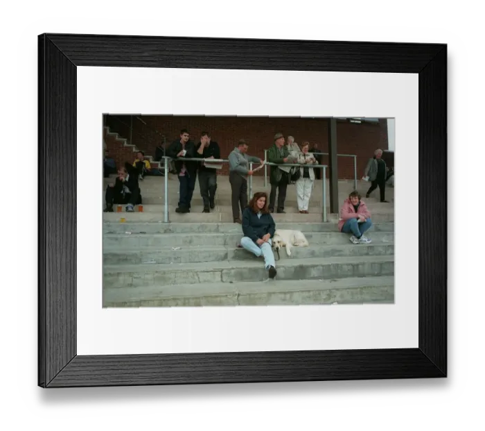 Framed Print : Woman And Dog Framed Print : Woman And Dog
