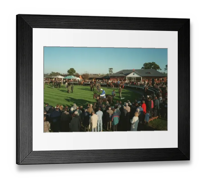 Framed Print : Parade Ring Bangor Framed Print : Parade Ring Bangor