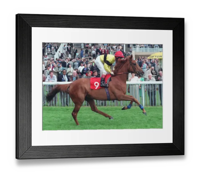 Framed Print : Whitewater Affair Framed Print : Whitewater Affair