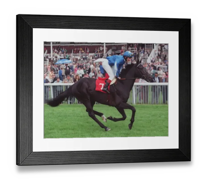 Framed Print : Samraan Ridden By T.Quinn 16 May 1997 Date: 16 May 1997