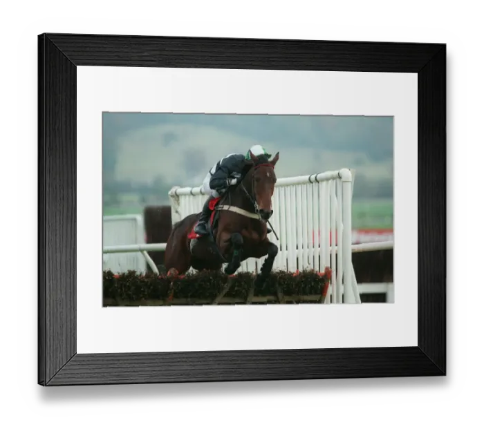 Framed Print : Noble Colours Framed Print : Noble Colours