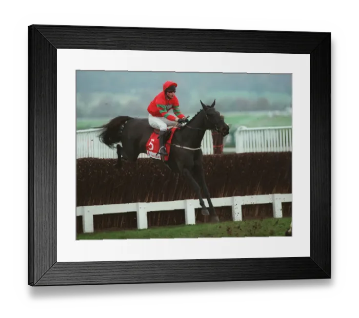 Framed Print : Queen Of Spades Framed Print : Queen Of Spades
