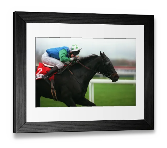 Framed Print : Tony Mccoy (Chalenger Du Luc) Framed Print : Tony Mccoy (Chalenger Du Luc)