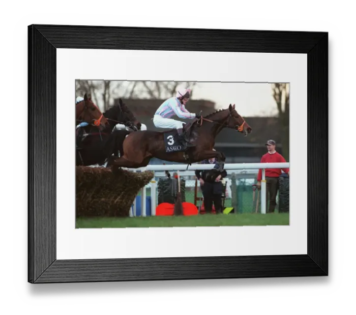 Framed Print : Tom Taylor Framed Print : Tom Taylor
