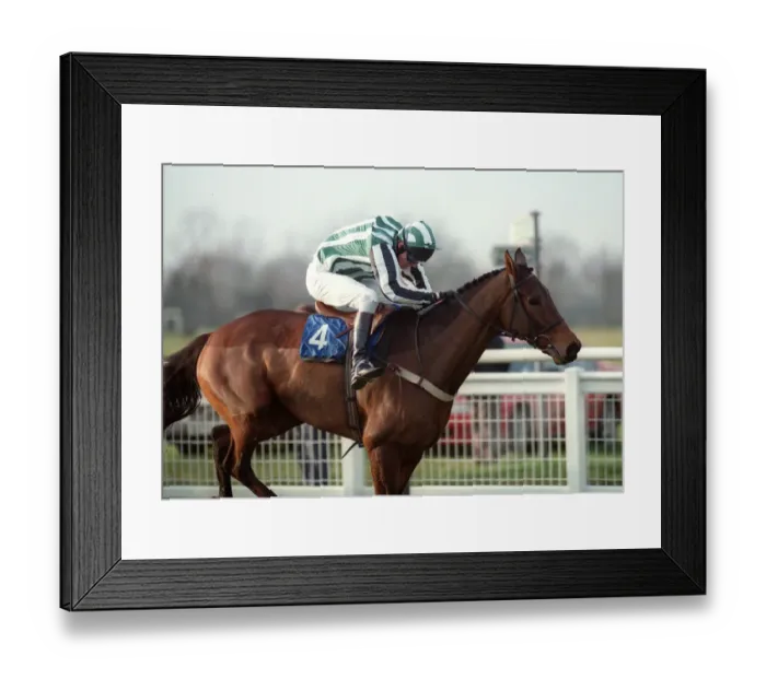 Framed Print : Manasis Ridden By Steven Wynne 26 November 1997 Date: 26 November 1997 Framed Print : Manasis Ridden By Steven Wynne 26 November 1997 Date: 26 November 1997