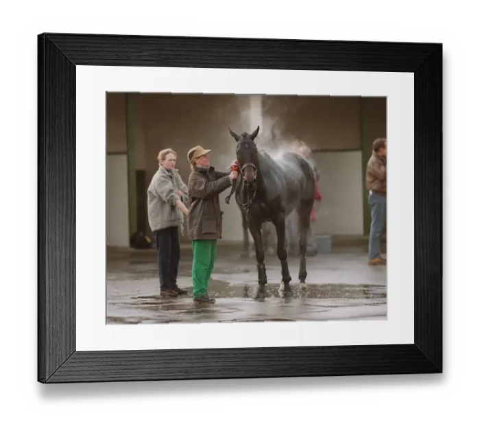 Framed Print : Washdown Warwick Races 26 November 1997 Date: 26 November 1997 Framed Print : Washdown Warwick Races 26 November 1997 Date: 26 November 1997