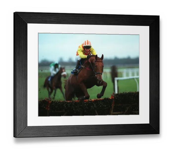 Framed Print : Ginger Fox Framed Print : Ginger Fox