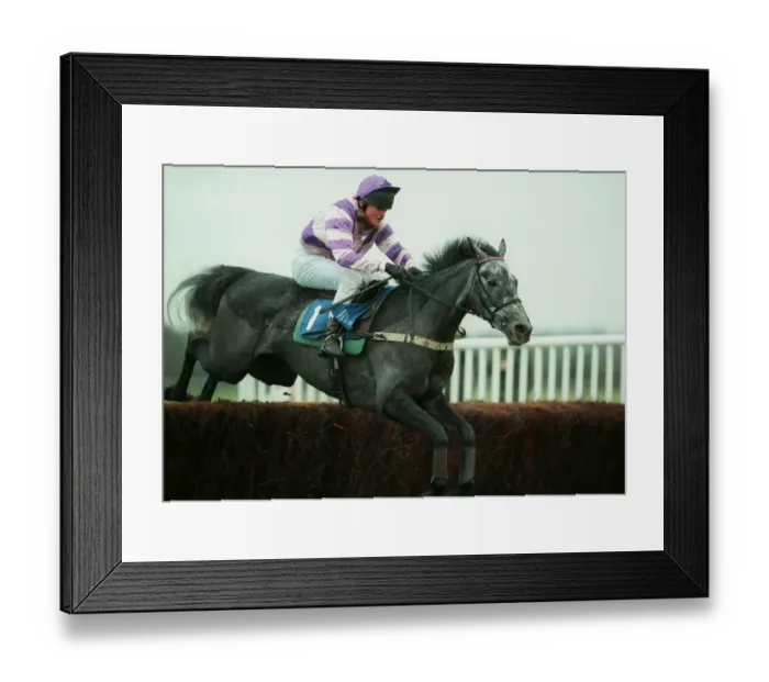 Framed Print : Baronet Ridden By Robert Thornton 27 November 1997 Date: 27 November 1997 Framed Print : Baronet Ridden By Robert Thornton 27 November 1997 Date: 27 November 1997