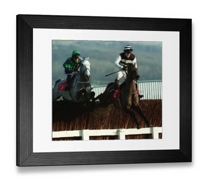 Framed Print : Arctic Kinsman, Indian Jockey Framed Print : Arctic Kinsman, Indian Jockey