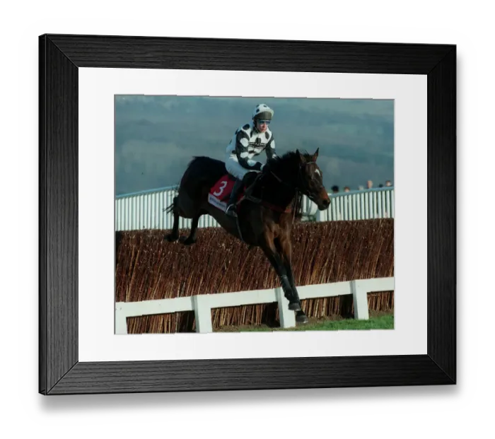 Framed Print : Clever Remark Framed Print : Clever Remark
