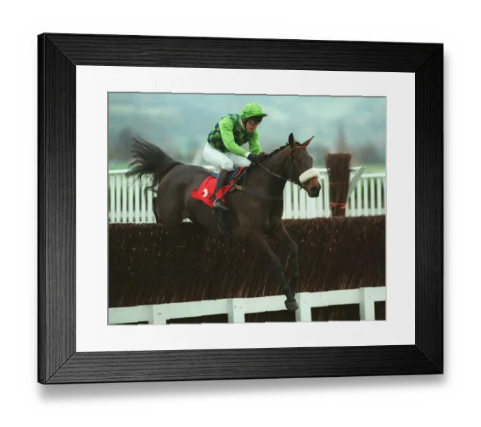 Framed Print : Tullymurry Toff Framed Print : Tullymurry Toff