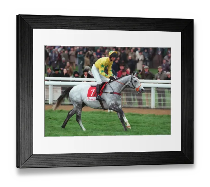 Framed Print : Amlah Ridden By Brendan Powell 18 November 1997 Date: 18 November 1997 Framed Print : Amlah Ridden By Brendan Powell 18 November 1997 Date: 18 November 1997