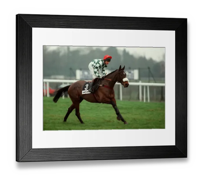 Framed Print : Polydamus Ridden By Norman Williamson 22 December 1997 Date: 22 December 1997 Framed Print : Polydamus Ridden By Norman Williamson 22 December 1997 Date: 22 December 1997