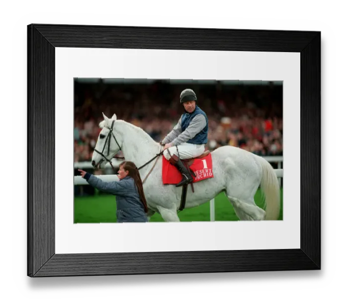 Framed Print : Desert Orchid, Colin Brown Framed Print : Desert Orchid, Colin Brown