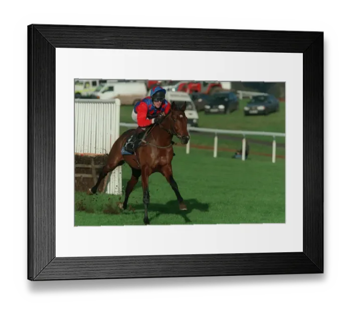 Framed Print : Rainwatch Ridden By Tony Mccoy 08 January 1998 Date: 08 January 1998 Framed Print : Rainwatch Ridden By Tony Mccoy 08 January 1998 Date: 08 January 1998