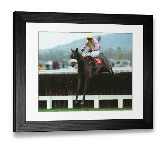 Framed Print : Hillwalk Ridden By Rupert Wakely 18 November 1997 Date: 18 November 1997 Framed Print : Hillwalk Ridden By Rupert Wakely 18 November 1997 Date: 18 November 1997