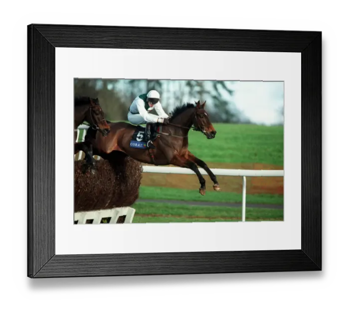 Framed Print : Indian Arrow Framed Print : Indian Arrow