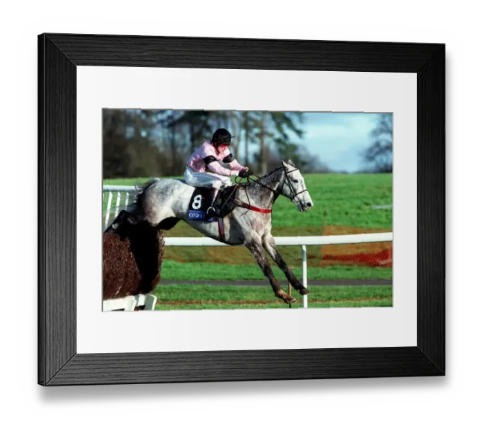 Framed Print : Sparkling Cone Framed Print : Sparkling Cone