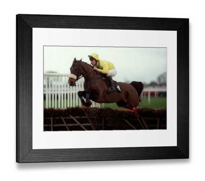 Framed Print : Dato Star Ridden By Lorcan Wyer 26 January 1998 Date: 26 January 1998 Framed Print : Dato Star Ridden By Lorcan Wyer 26 January 1998 Date: 26 January 1998