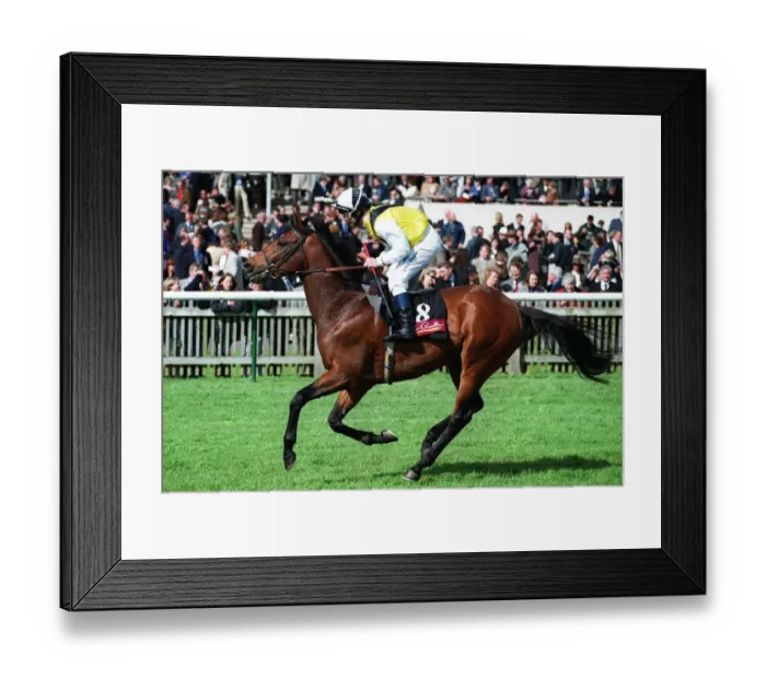 Framed Print : Kier Park Ridden By P.Robinson Newmarket Guineas Festival Newmarket Framed Print : Kier Park Ridden By P.Robinson Newmarket Guineas Festival Newmarket