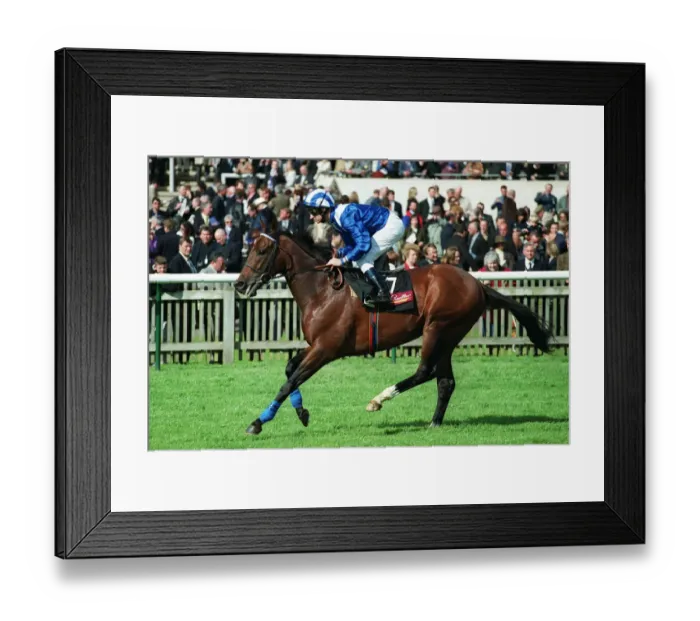 Framed Print : Fath Ridden By R.Hills Newmarket Guineas Festival Newmarket Framed Print : Fath Ridden By R.Hills Newmarket Guineas Festival Newmarket