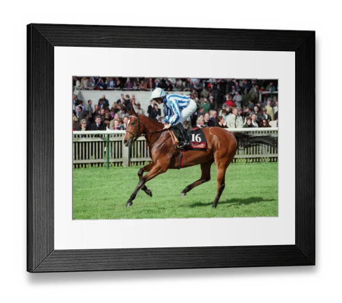 Framed Print : Jezebel Ridden By R.Mullen Newmarket Guineas Festival Newmarket