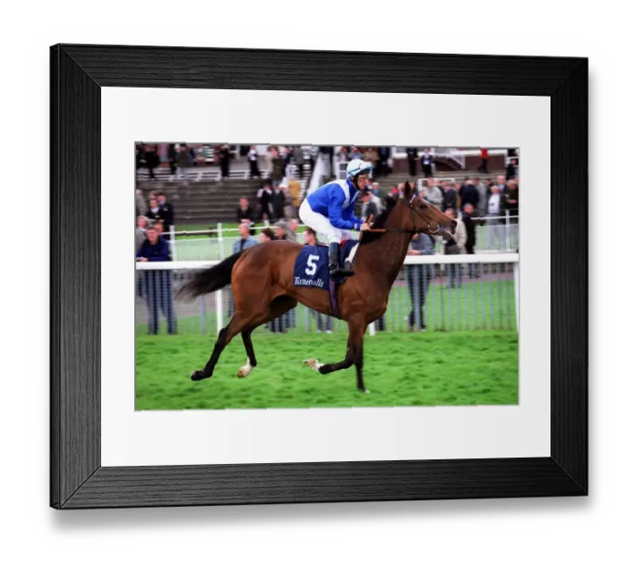 Framed Print : Relish The Thought Framed Print : Relish The Thought
