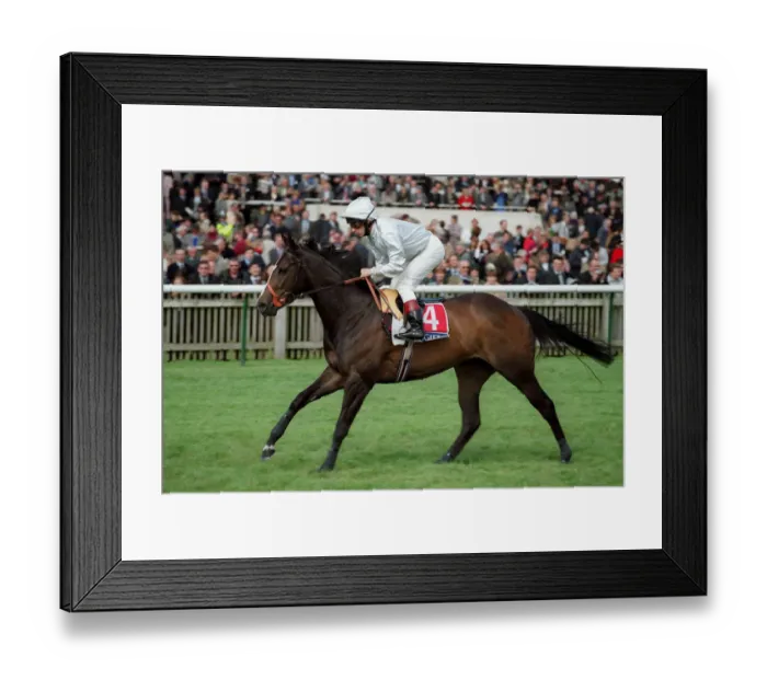 Framed Print : Autumnal Ridden By B.Doyle Newmarket Guineas Festival Newmarket Framed Print : Autumnal Ridden By B.Doyle Newmarket Guineas Festival Newmarket