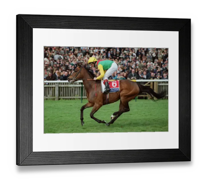 Framed Print : Dora Carrington Framed Print : Dora Carrington