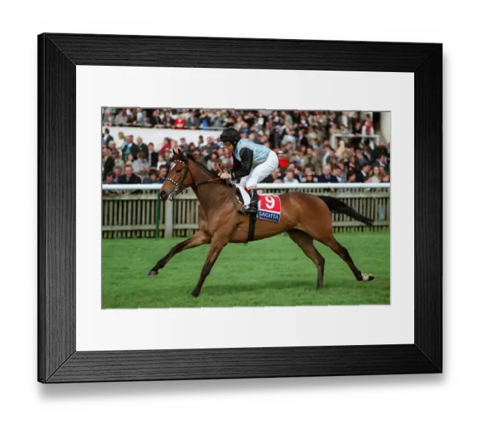Framed Print : Mameha Ridden By B.Marcus Newmarket Guineas Festival Newmarket Framed Print : Mameha Ridden By B.Marcus Newmarket Guineas Festival Newmarket