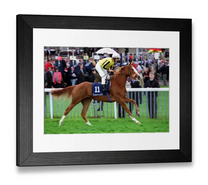 Framed Print : Toffee Nosed Framed Print : Toffee Nosed