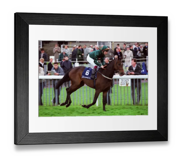 Framed Print : Saudia Ridden By J.Fortune York Racecourse York, York Racecourse 18 May 2001 Date Framed Print : Saudia Ridden By J.Fortune York Racecourse York, York Racecourse 18 May 2001 Date