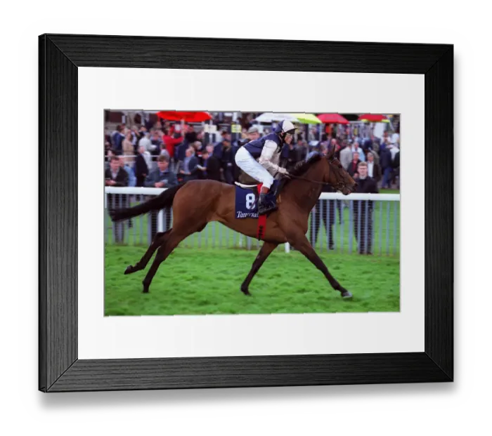 Framed Print : Sunstone Ridden By Craig Williams York Racecourse York, York Racecourse 18 May 2001 Date Framed Print : Sunstone Ridden By Craig Williams York Racecourse York, York Racecourse 18 May 2001 Date