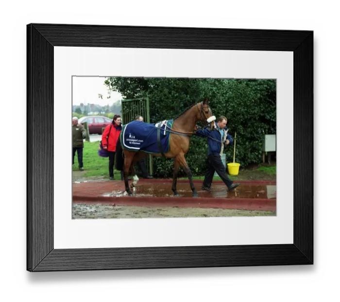 Framed Print : Foot & Mouth Precautions Framed Print : Foot & Mouth Precautions