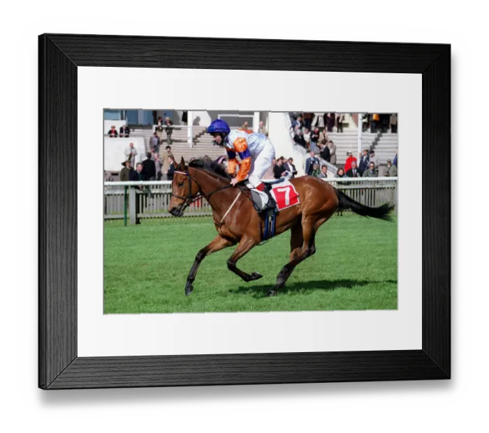 Framed Print : Moselle Ridden By T.Quinn Newmarket Guineas Festival Newmarket Framed Print : Moselle Ridden By T.Quinn Newmarket Guineas Festival Newmarket