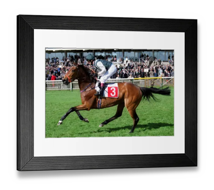 Framed Print : Banco Suivi