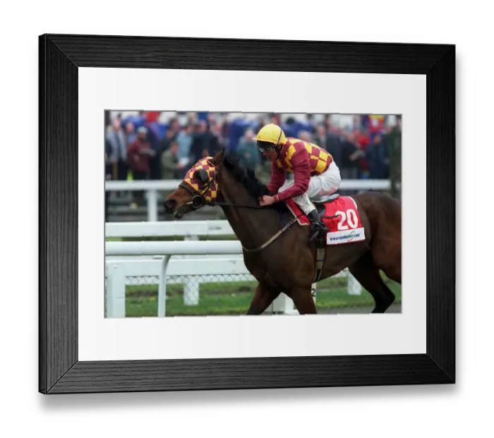 Framed Print : Melodian Ridden By T.Williams Doncaster Lincoln Festival Doncaster Framed Print : Melodian Ridden By T.Williams Doncaster Lincoln Festival Doncaster