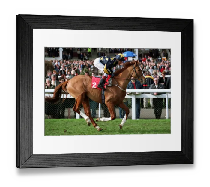 Framed Print : Bourgeois Ridden By R.Winston Doncaster Racecourse Doncaster Racecourse Framed Print : Bourgeois Ridden By R.Winston Doncaster Racecourse Doncaster Racecourse