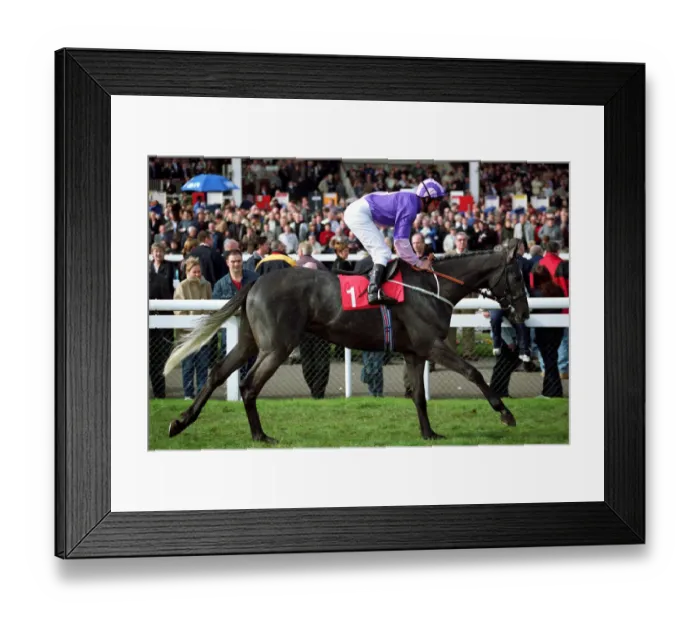 Framed Print : Double Honour Framed Print : Double Honour