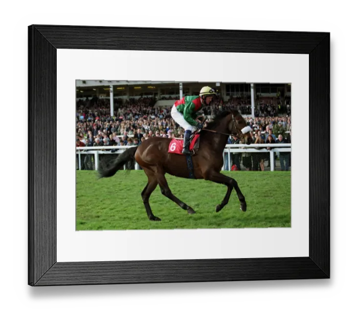 Framed Print : Moon High Ridden By M.Kinane Doncaster Racecourse Doncaster Racecourse Framed Print : Moon High Ridden By M.Kinane Doncaster Racecourse Doncaster Racecourse