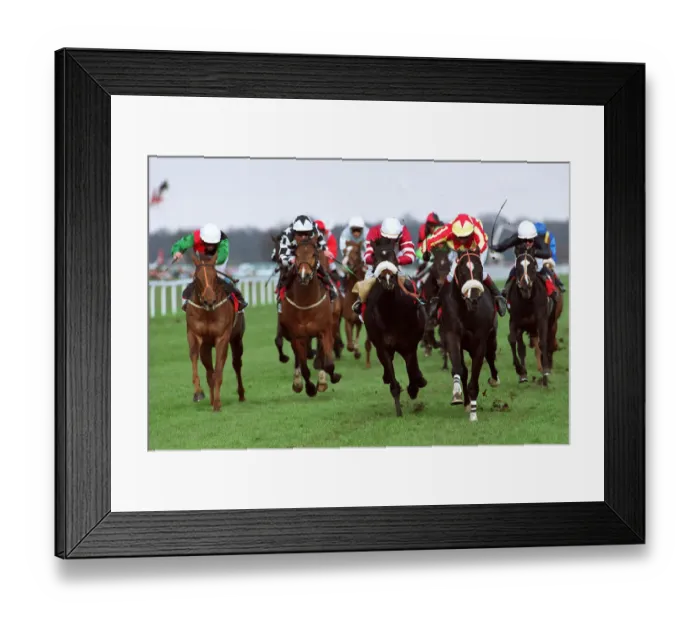 Framed Print : Zucchero Leads The Field