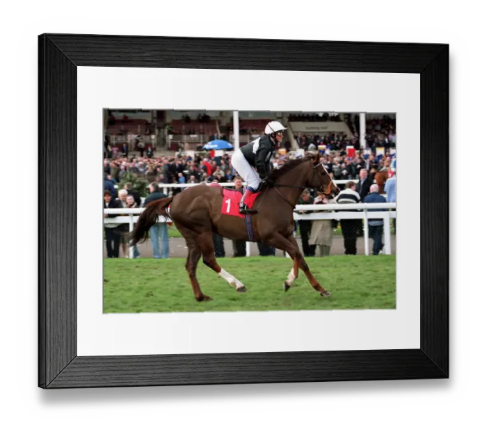 Framed Print : Bahamian Pirate Framed Print : Bahamian Pirate
