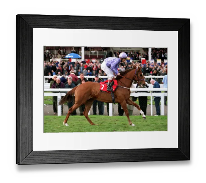 Framed Print : Palace Affair Framed Print : Palace Affair