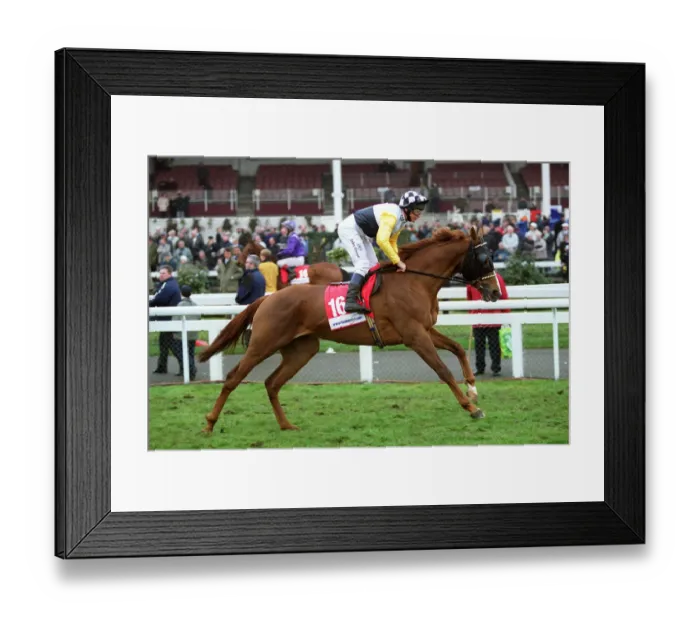 Framed Print : Bold Ewar Ridden By P.Robinson Doncaster Lincoln Festival Doncaster Framed Print : Bold Ewar Ridden By P.Robinson Doncaster Lincoln Festival Doncaster