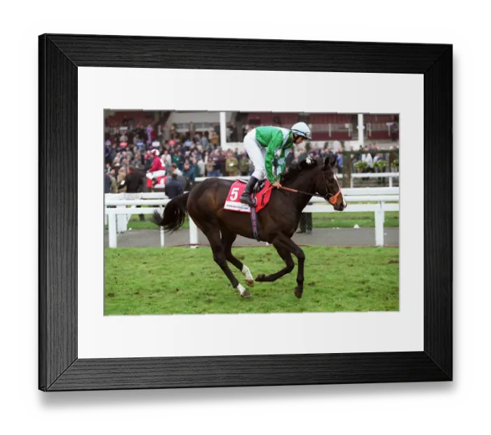 Framed Print : Freddy Flint Stone