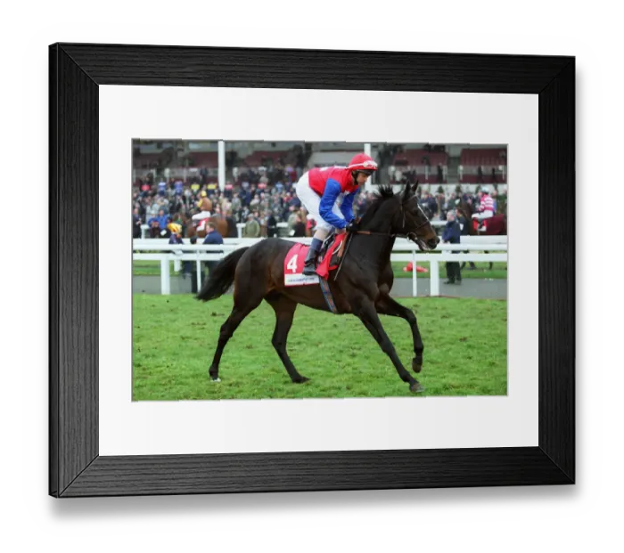 Framed Print : Salty Jack Framed Print : Salty Jack