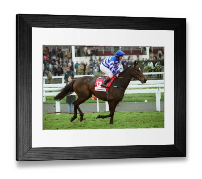 Framed Print : Scone Ridden By T.Quinn Doncaster Lincoln Festival Doncaster