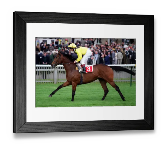 Framed Print : Morshdi Ridden By L.Dettori Newmarket Guineas Festival Newmarket Framed Print : Morshdi Ridden By L.Dettori Newmarket Guineas Festival Newmarket