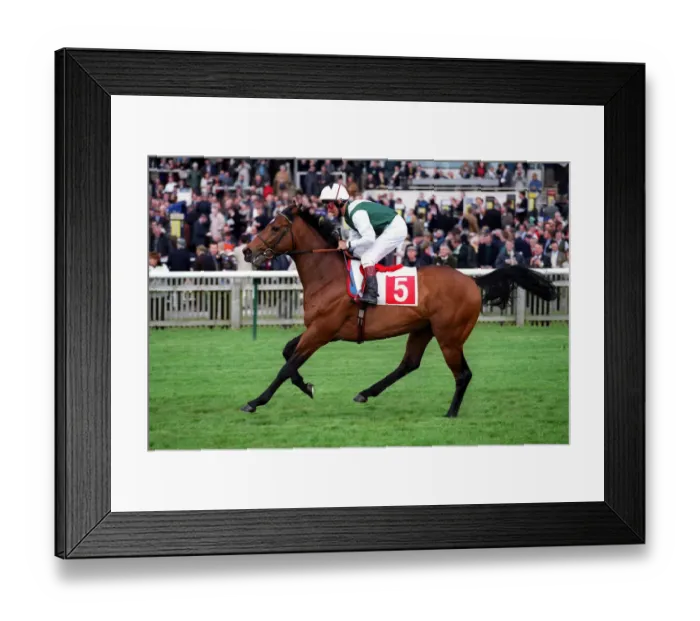Framed Print : Rosis Boy Ridden By Pat Eddery Newmarket Guineas Festival Newmarket Framed Print : Rosis Boy Ridden By Pat Eddery Newmarket Guineas Festival Newmarket