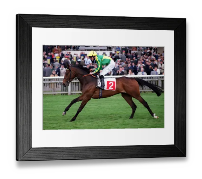 Framed Print : Fair Question Framed Print : Fair Question